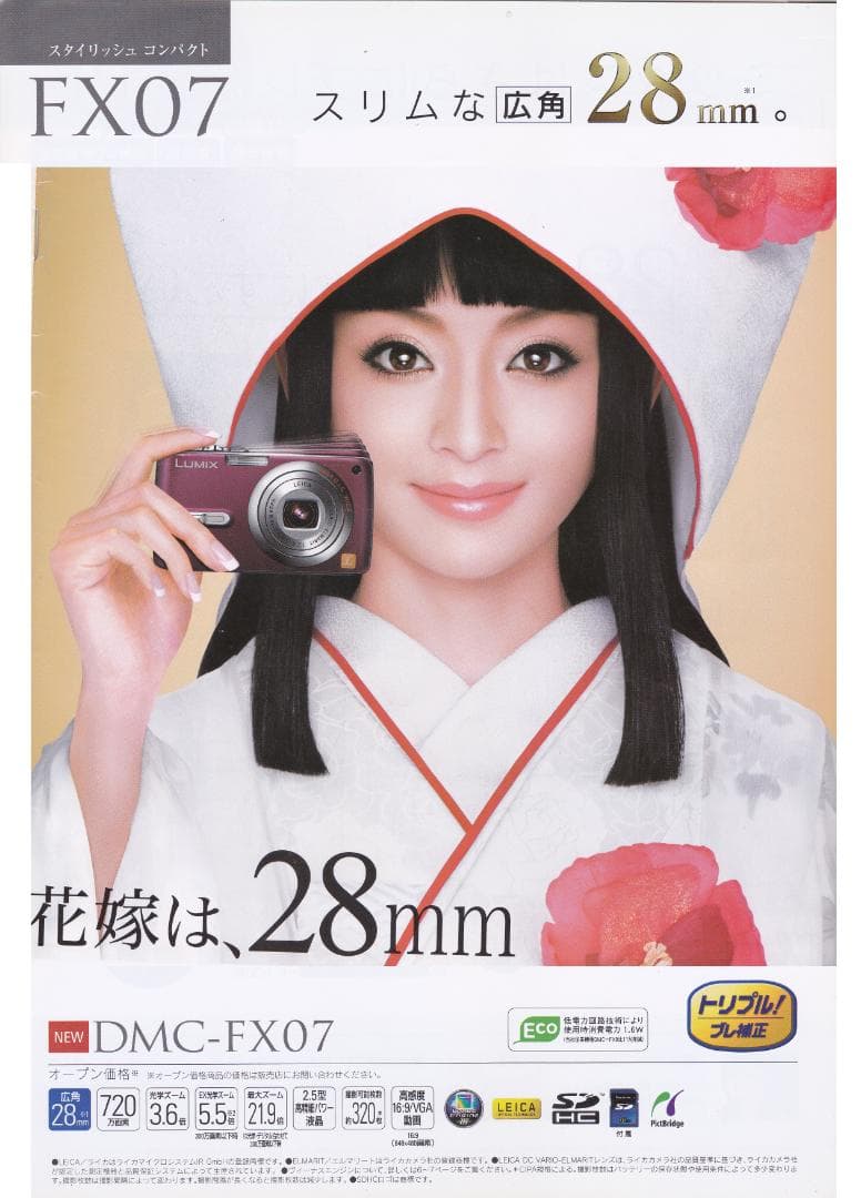 LUMIX★DMC-FX07⚠️必読有⭐️極美品⭕️ほぼ完品⭕️安心の実働品