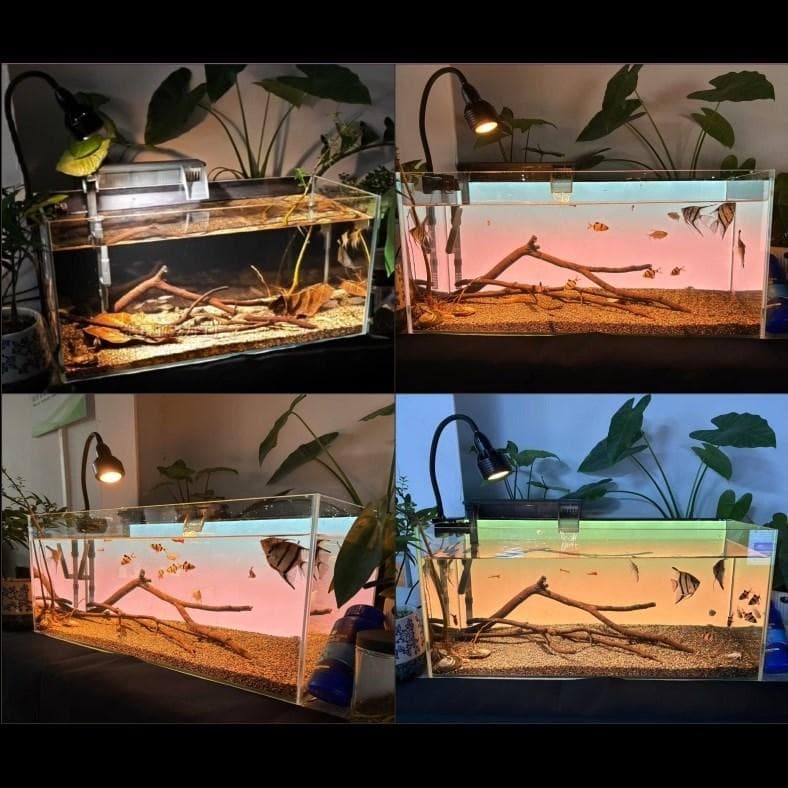 【b2l45】2色カラーLEDライトスクリーン OFF黒 45cm x 30cm