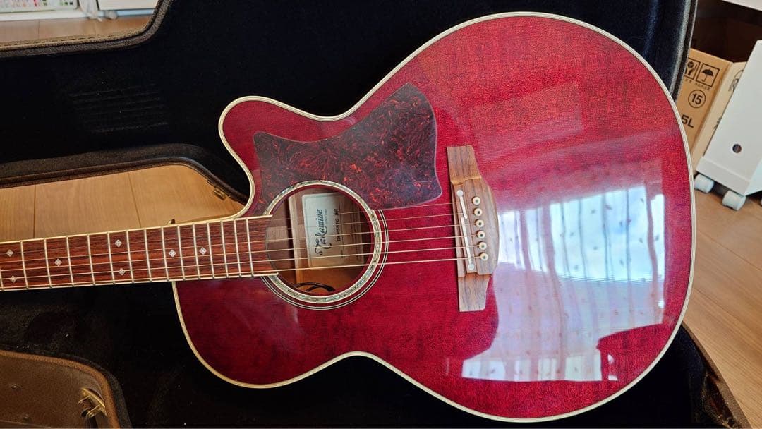 美品 Takamine DMP551C アコースティックギター 生産完了品