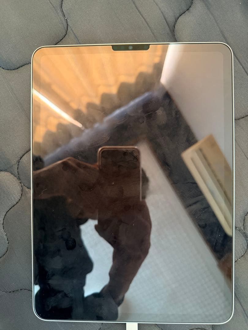 Apple iPad Pro (11インチ) 256GB シルバー