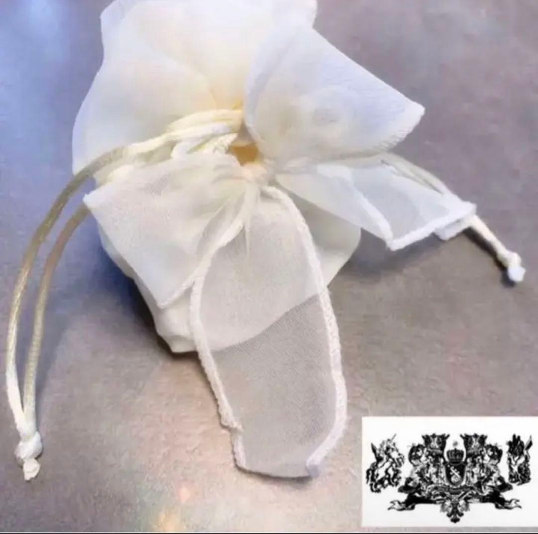 本物の流れ星の粉✨✨✨⭐️隕石⭐️✨✨✨