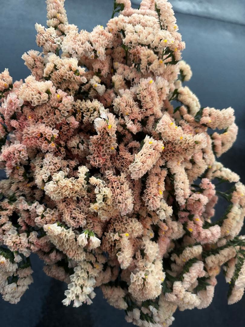 100様 リクエスト 7点 まとめ商品