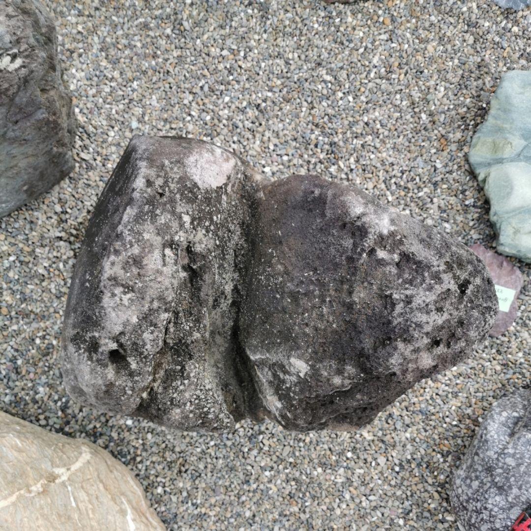 鳥海石ハート206キロ　庭石　鑑賞石　石　ガーデニング　ロックガーデン　サボテン