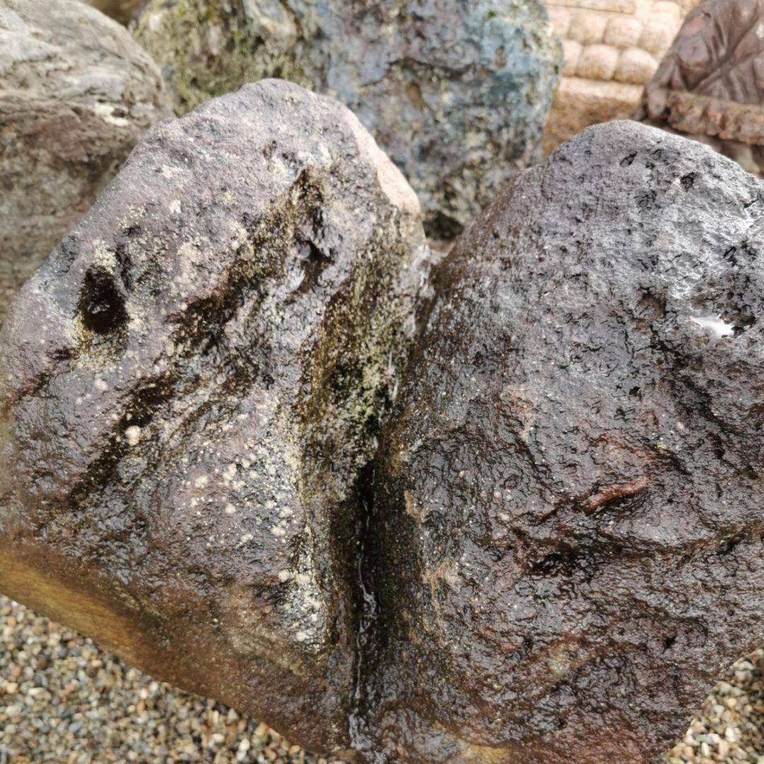 鳥海石ハート206キロ　庭石　鑑賞石　石　ガーデニング　ロックガーデン　サボテン