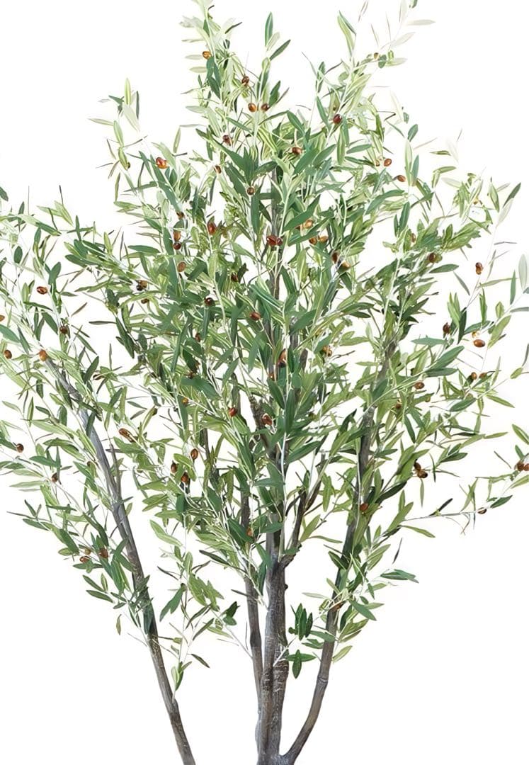 光触媒　人工観葉植物　ウォールグリーン　フェイクグリーン　オリーブ290センチ