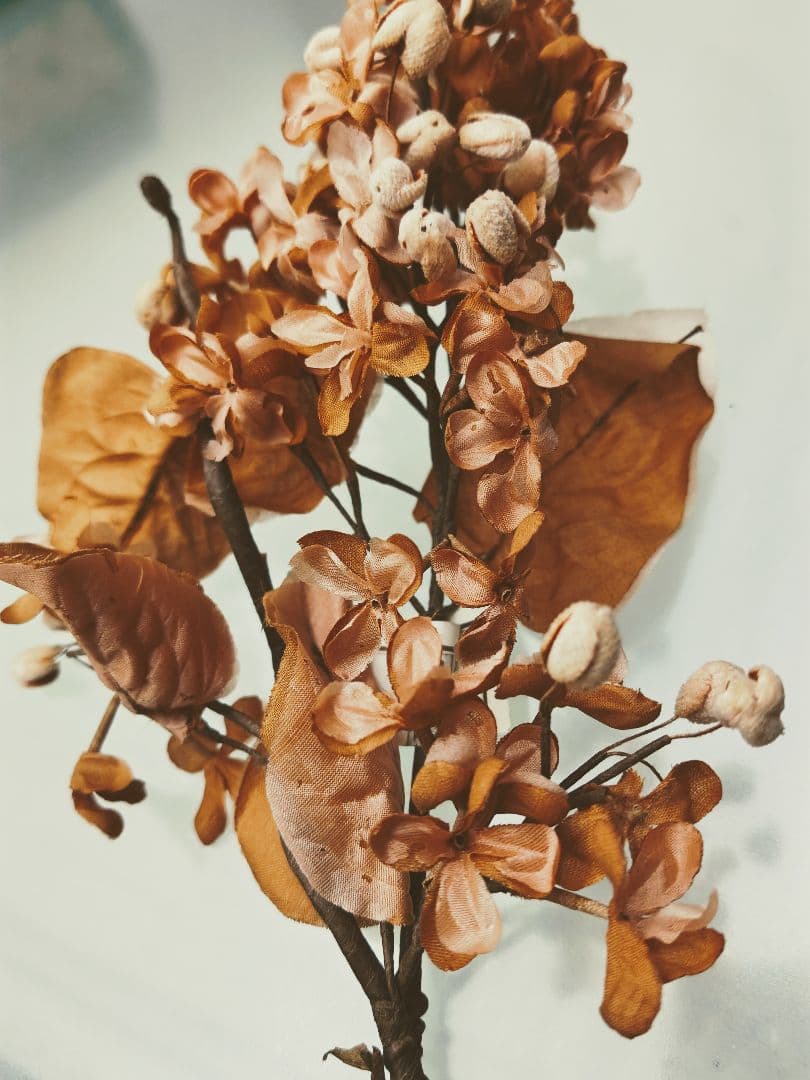 フランスアンティーク✨️大きな布花 ２点＋オマケ付き♡