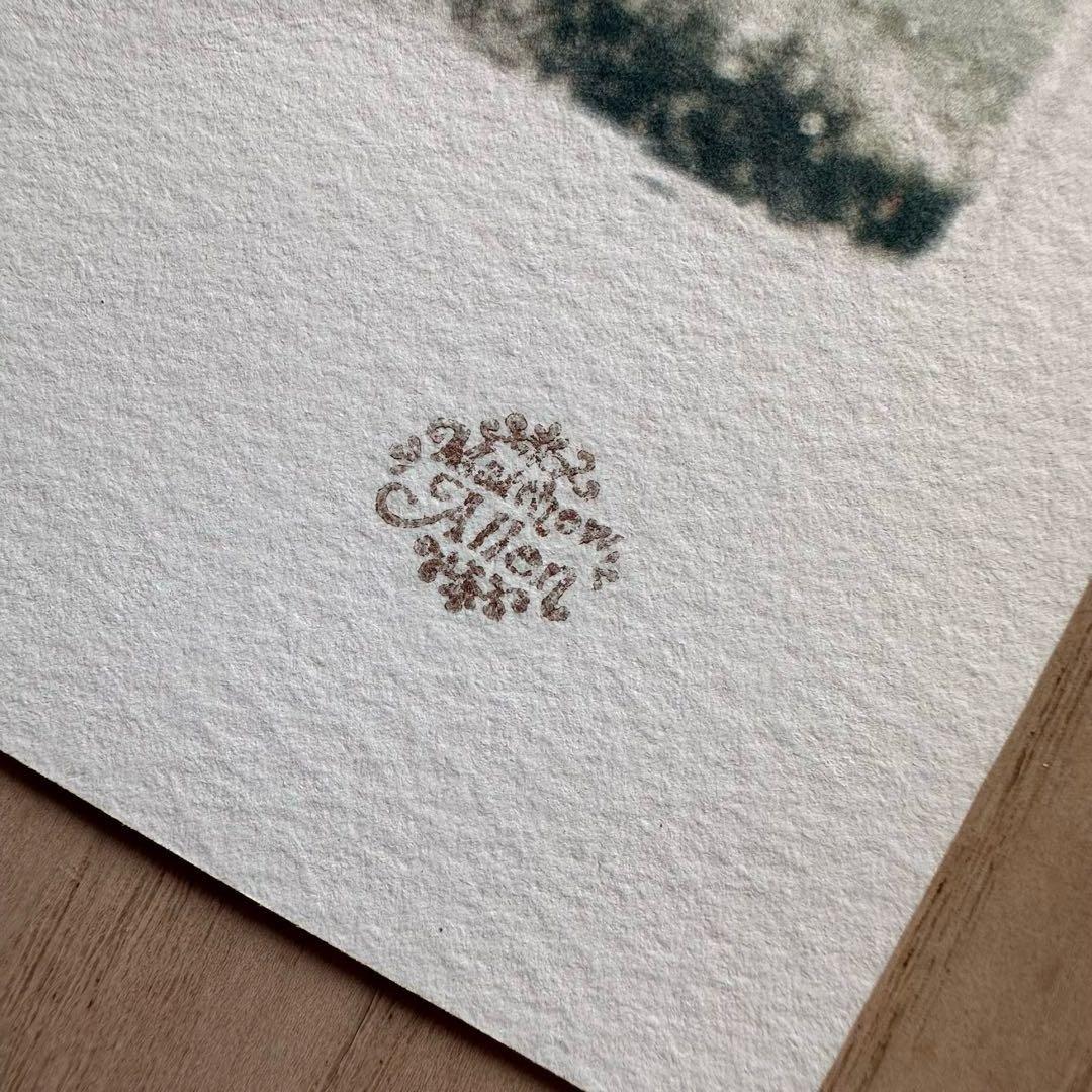 Green Room マシュー・アレン　【Last Dance】