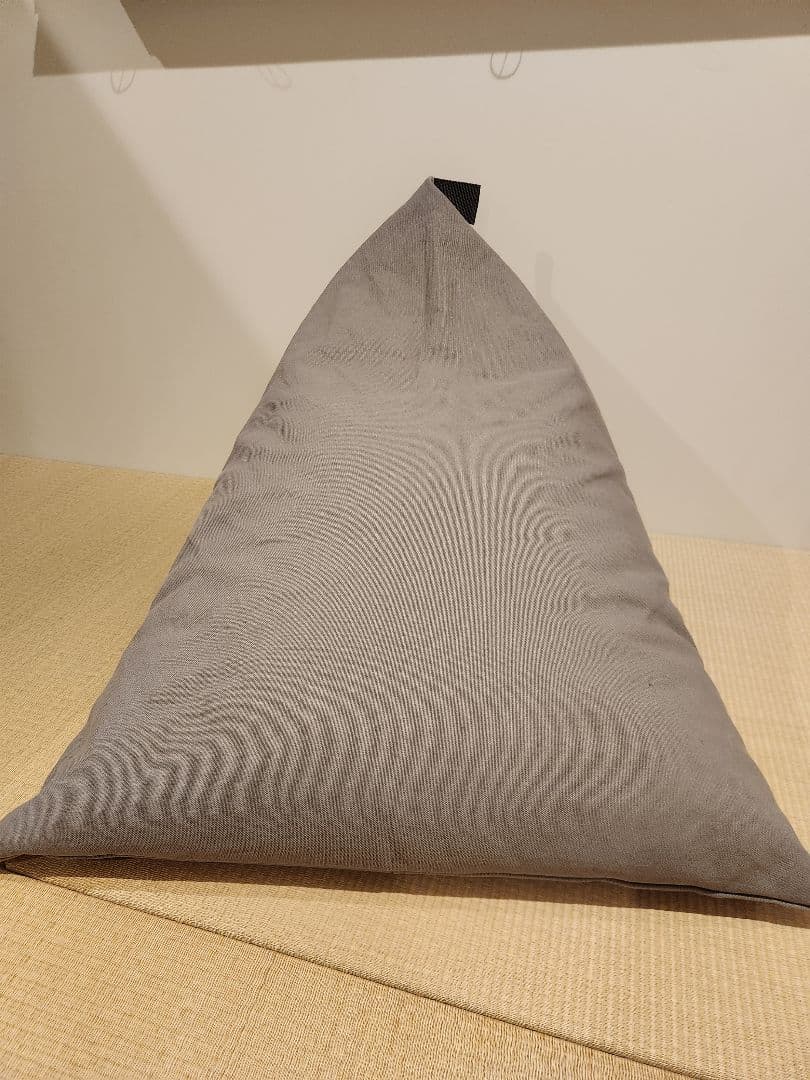 tetra 8号帆布 ビーズクッション 2色セット