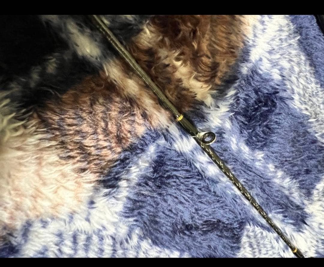 スクイッドマニア 802麗ヴィーナスLMスローテーパー ボロン