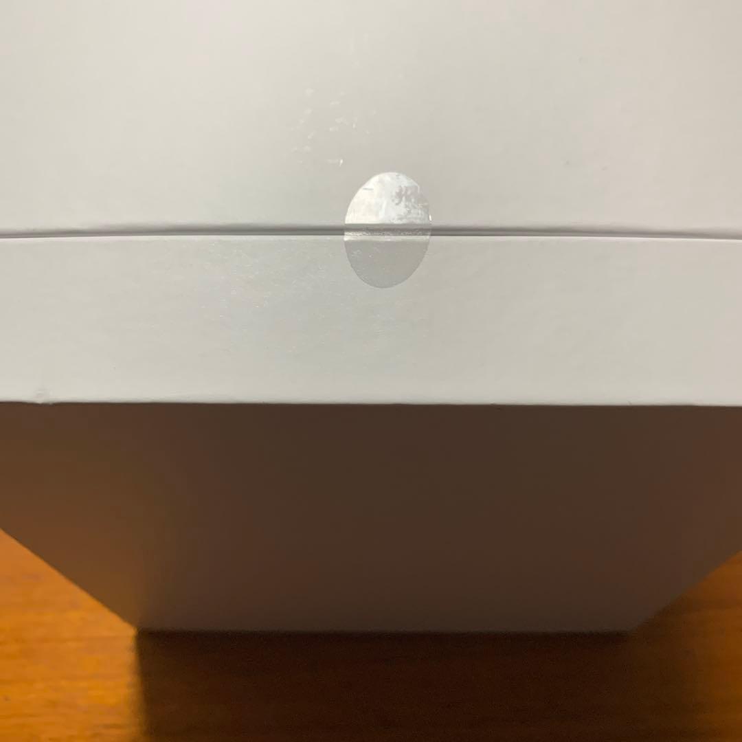 新品　SALONIA ピュア ブライト スチーマー