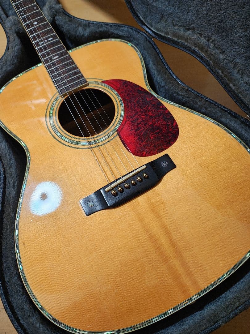 オール単板/Aria AF60/ハードケース