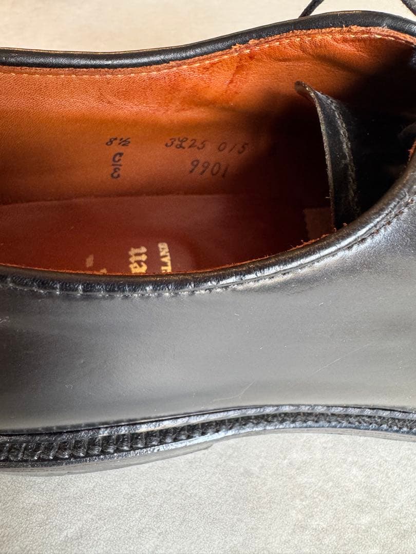 Alden オールデン 9901 黒 サイズ8.5E