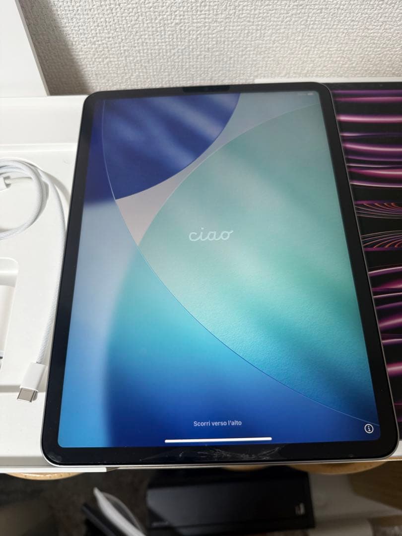 【ジャンク品】iPad Pro 11インチ 第4世代 M2チップ(画面割れ)