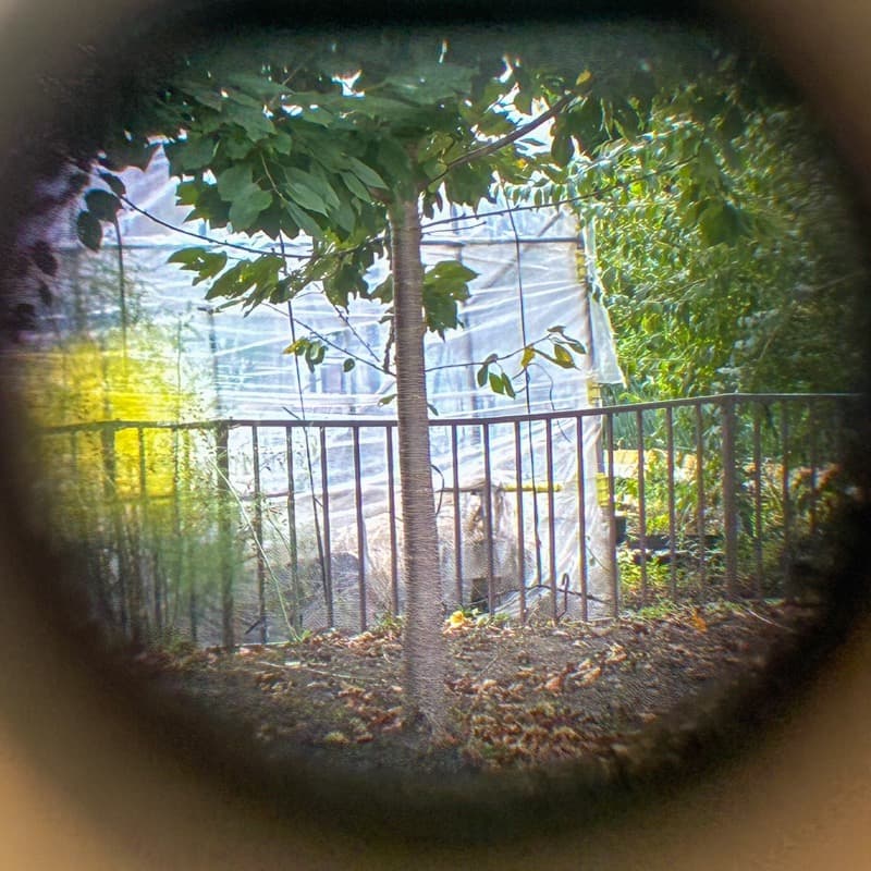 【美品・整備品】KONICA II B コニカⅡ ２型B IIB