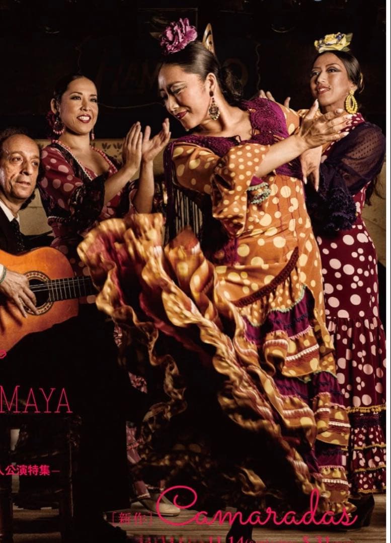 Sonia Johnes フラメンコドレス 茶色と黄色の水玉ワンピース3サイズ