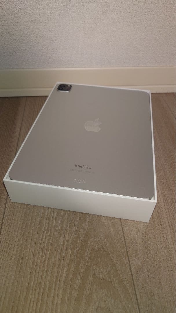 Apple iPad Pro(2022, M2) 11インチ スペースグレー