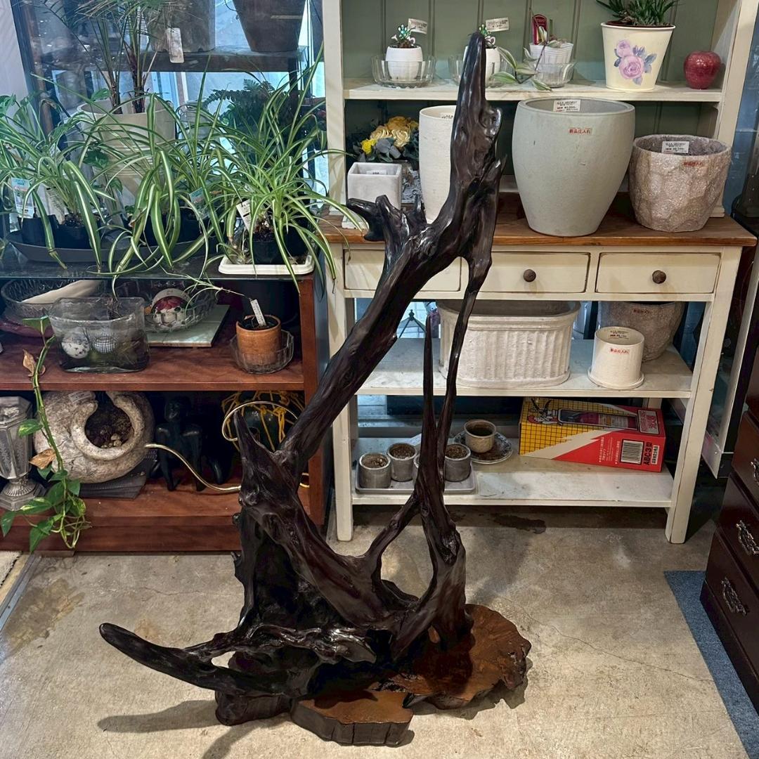 【大特価】 観賞用 流木 オブジェ 置物 爬虫類飼育 アクアリウム 古木材アート