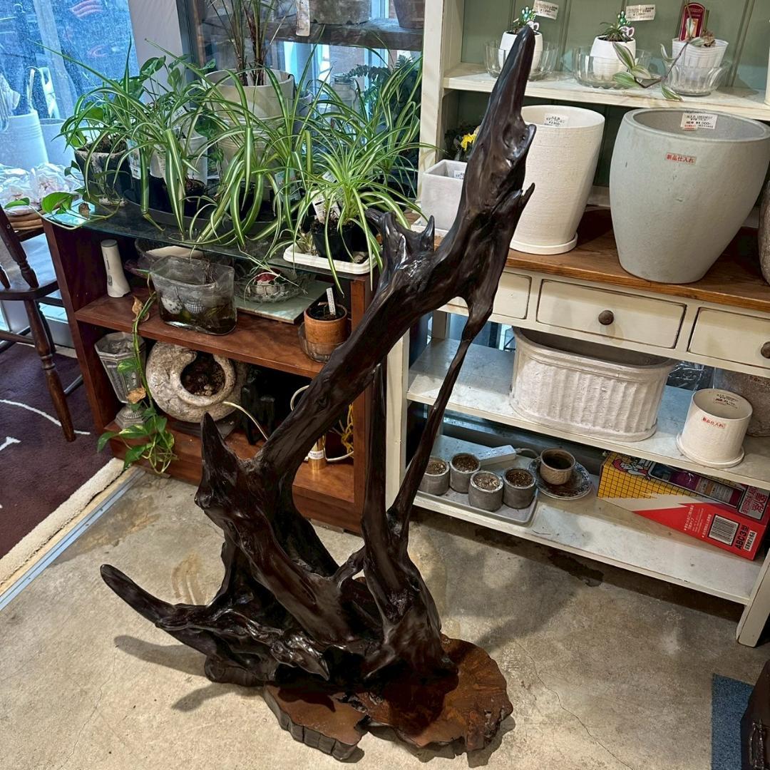 【大特価】 観賞用 流木 オブジェ 置物 爬虫類飼育 アクアリウム 古木材アート