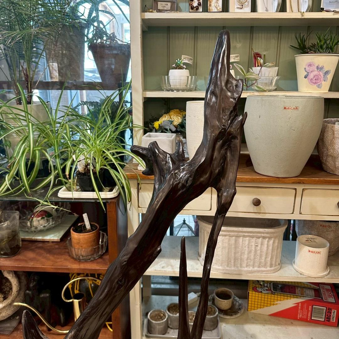 【大特価】 観賞用 流木 オブジェ 置物 爬虫類飼育 アクアリウム 古木材アート