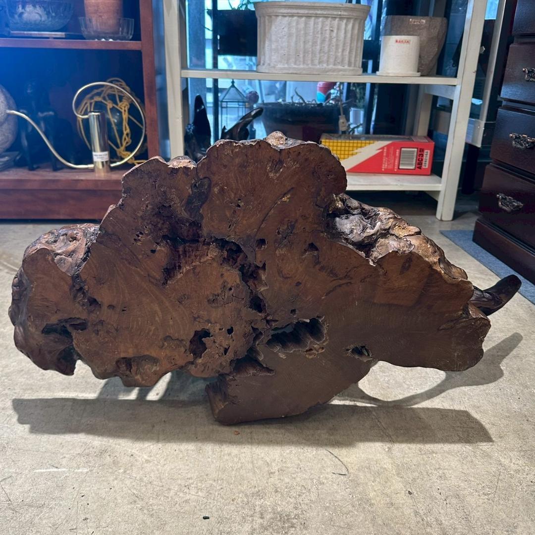 【大特価】 観賞用 流木 オブジェ 置物 爬虫類飼育 アクアリウム 古木材アート