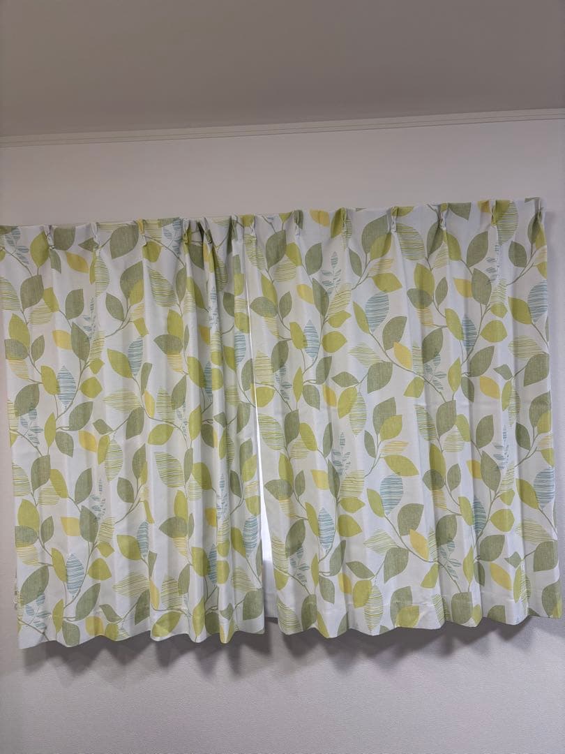 美品⭐︎早い者勝ち！ECOOASIS ニトリ 葉柄カーテン