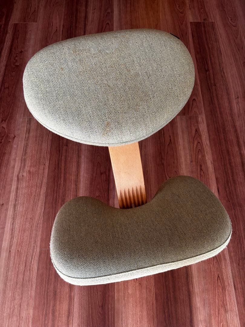 バランスチェア balans EASY バランスイージー 学習椅子