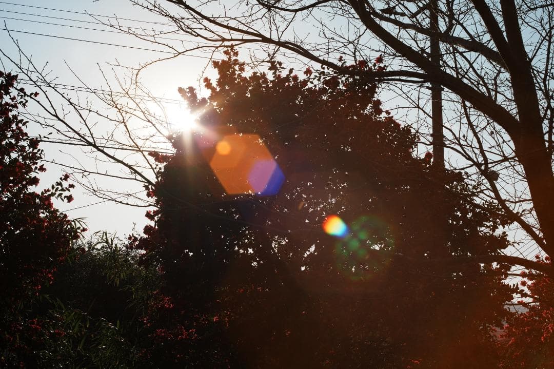 【希少8枚玉】動作◎ Super Takumar 50mm F1.4 344