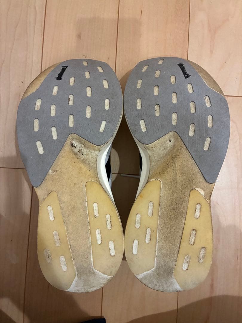 adidas アディゼロ EVO SL 24.5cm M