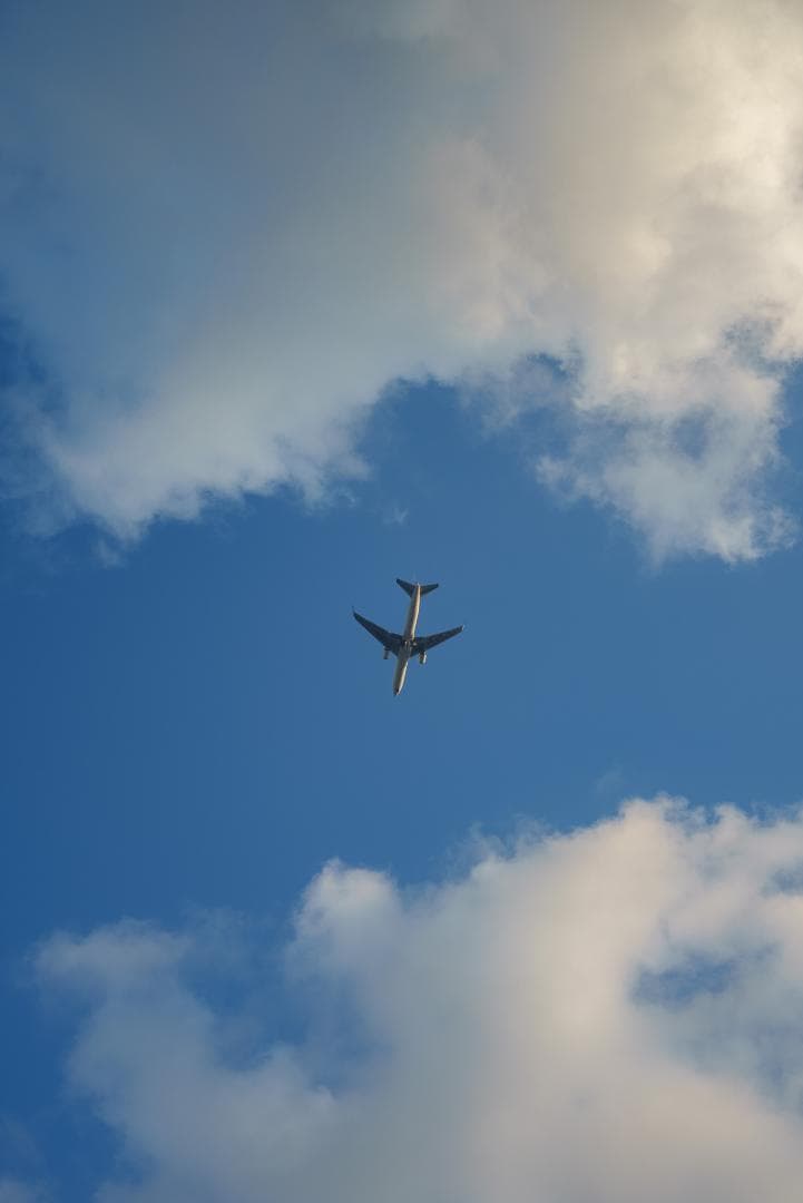 虹の出る癖玉！Leica Summar 50mm f2 オールドレンズ