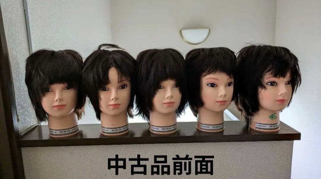 美容師国家試験用 カットウィッグ