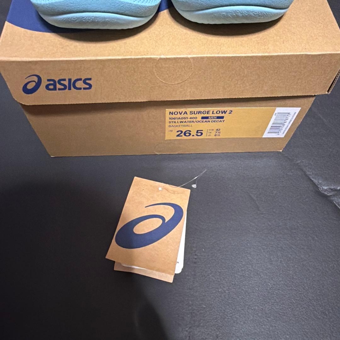 シューズ(男性用) asics NOVA SURGE LOW 2