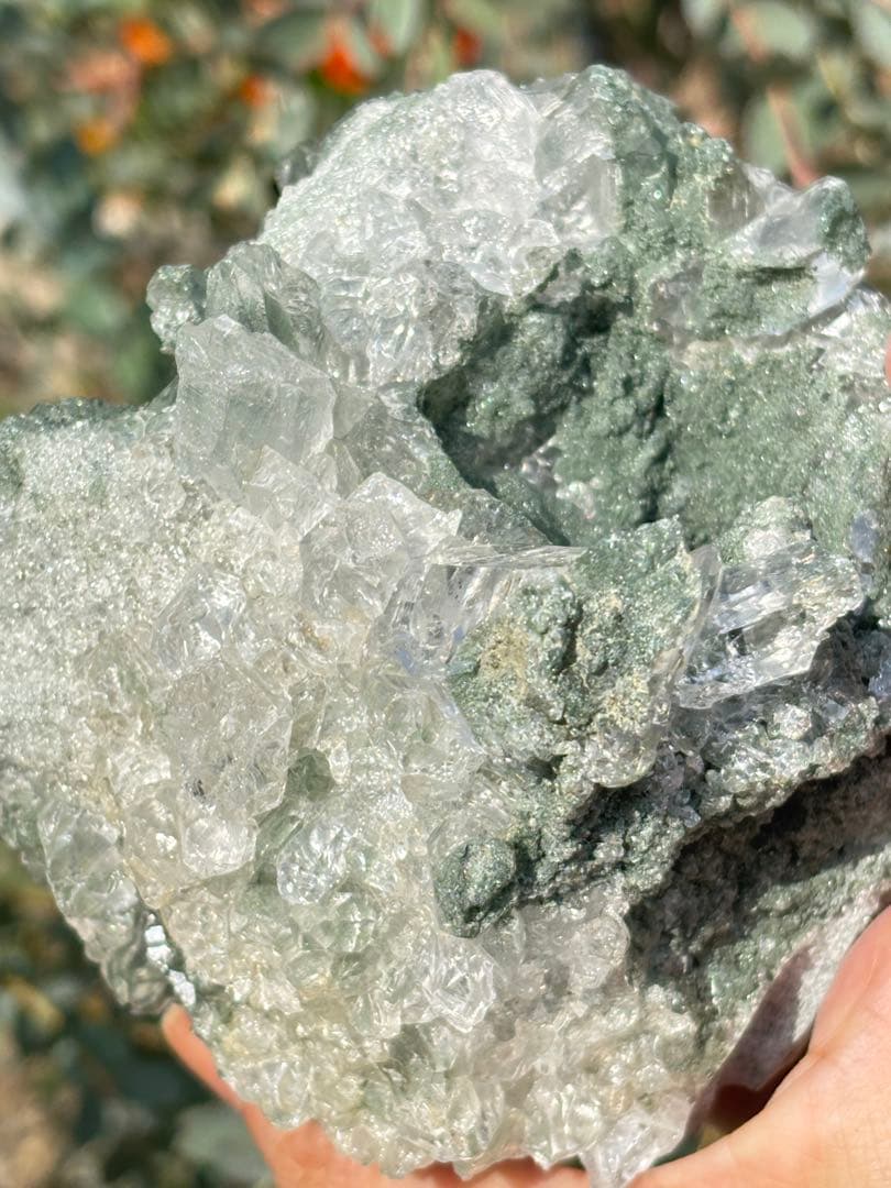 ヒマラヤ　ガネーシュ　クローライト　超高品質　スカル　ミュージアムグレード