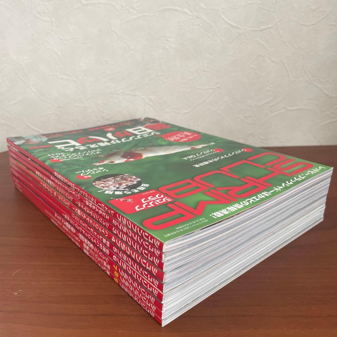 シュリンプクラブ 全号（No.1〜9） SHRIMP CLUB