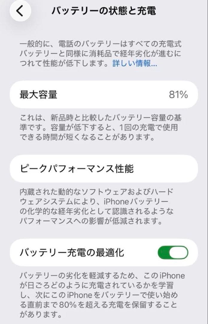 iPhone13 Pro Max 256GB シエラブルー