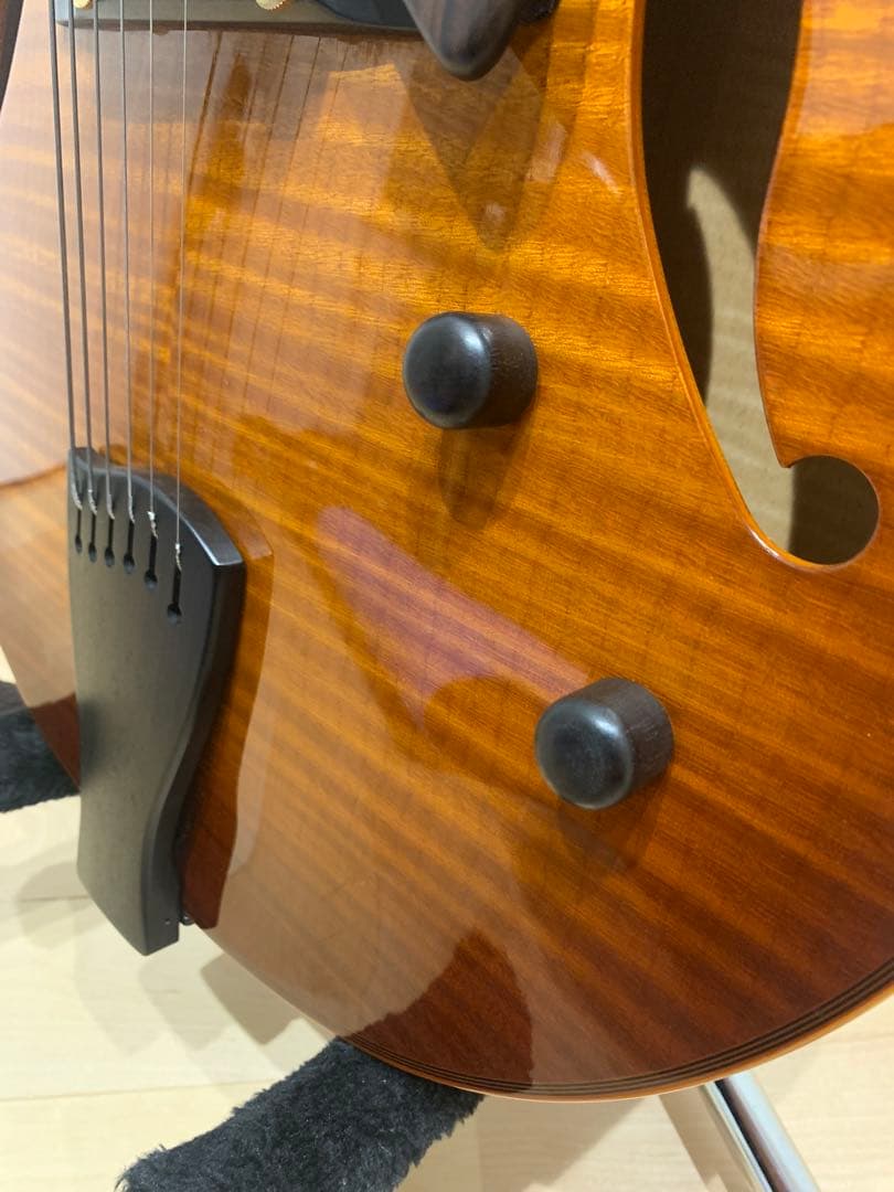 Sadowsky Jim Hall Model 初期型