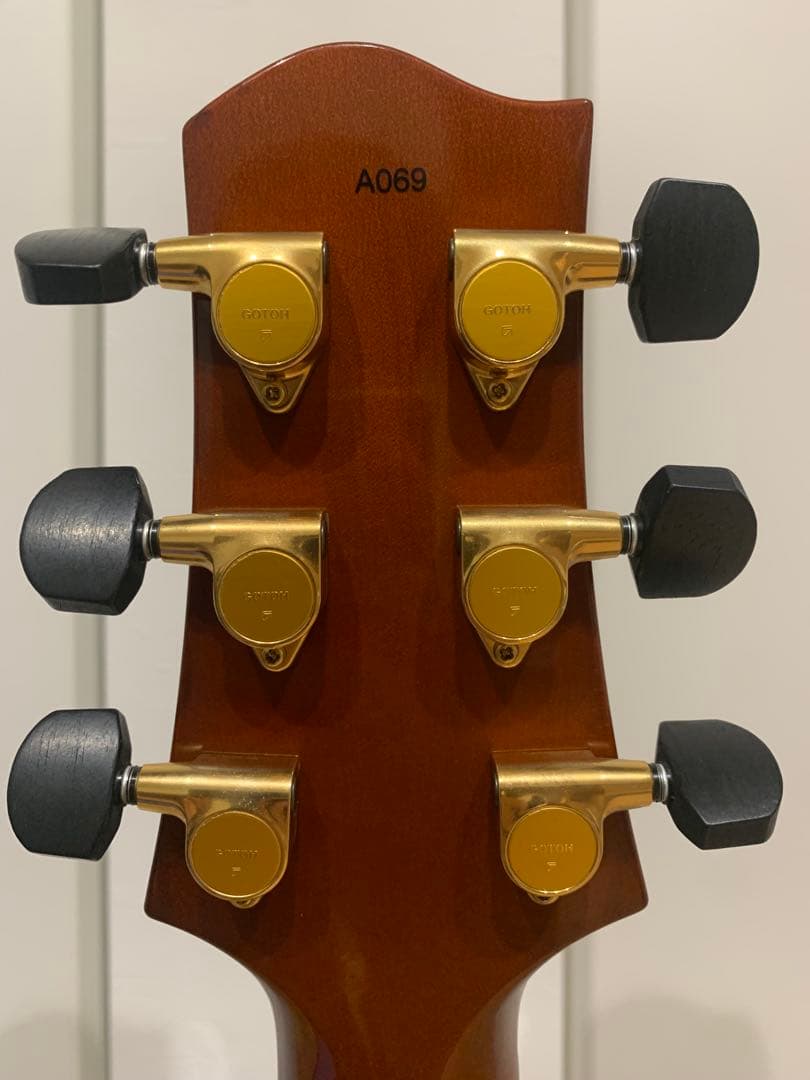 Sadowsky Jim Hall Model 初期型