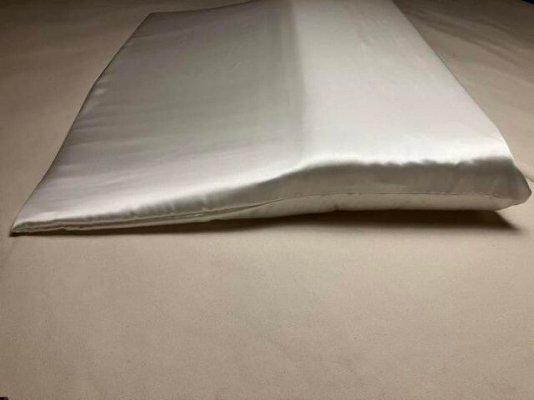 トゥルースリーパー　枕カバー　シルク　100％　19匁　セミダブルサイズ　日本製