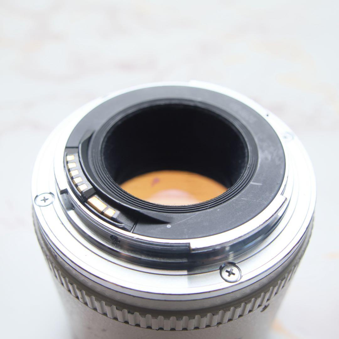 良好　Canon エクステンダー　x2