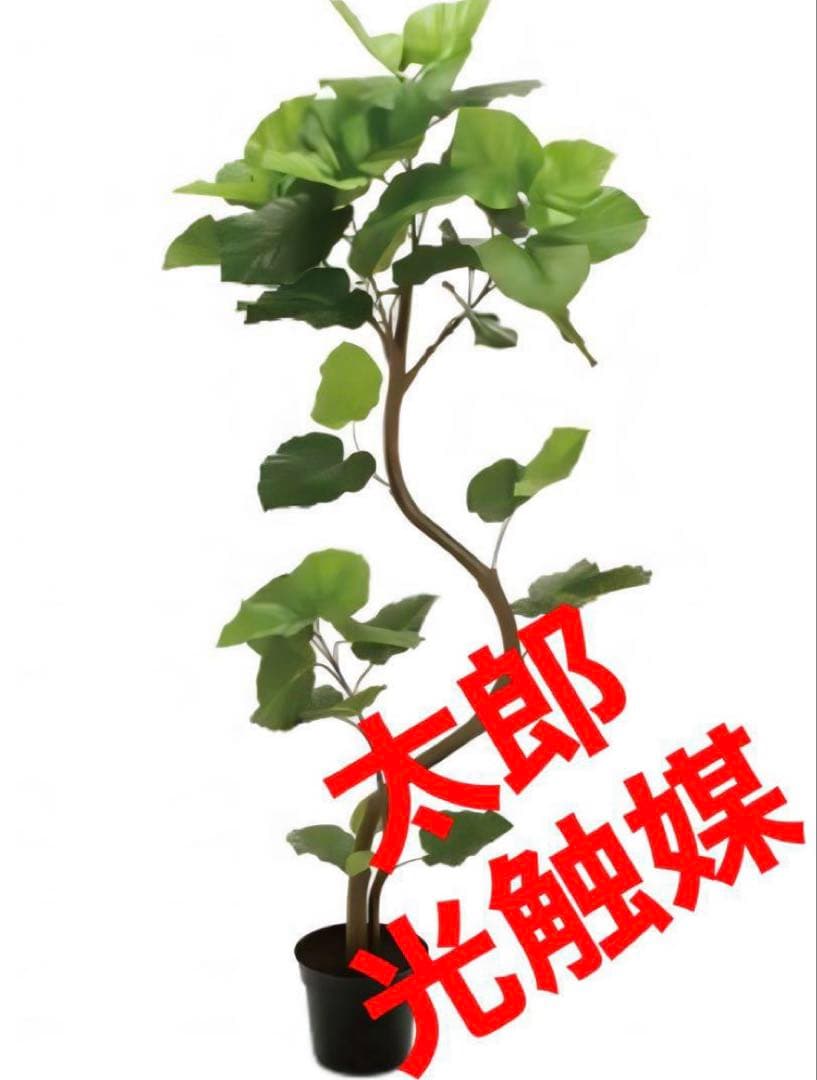 光触媒　人工観葉植物　フェイクグリーン　ウンベラータスパイラル5F