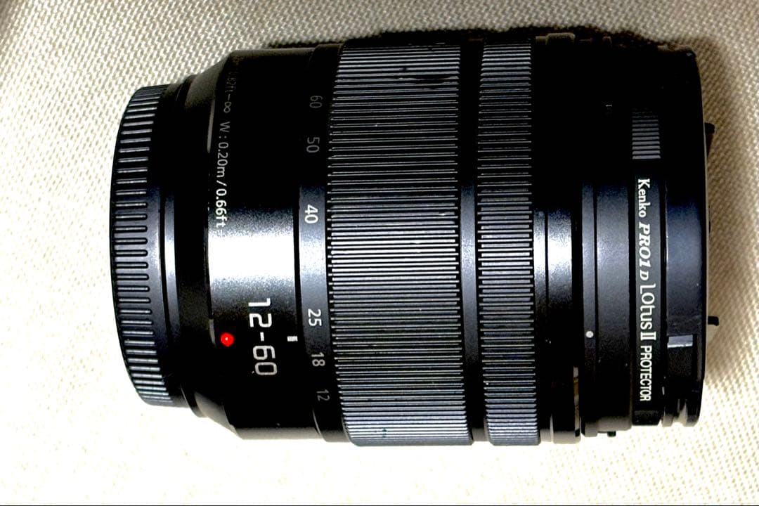 Panasonic LUMIX GH5 II + 標準ズームレンズ付属