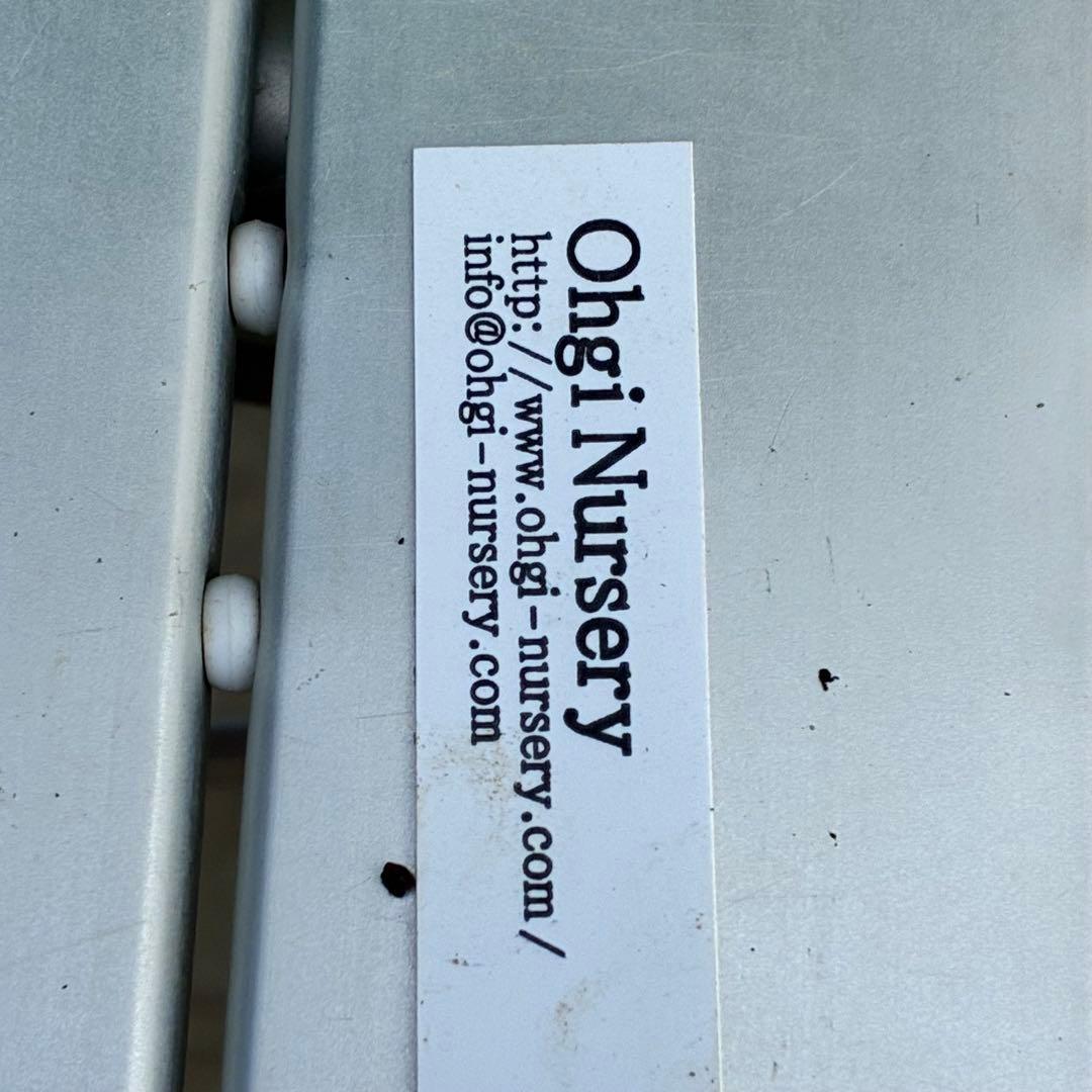 b*o様 3472☘️蕾タグ付☘️SD⭐️マリエ⭐️超小〜小輪カップ⭐️オーレア