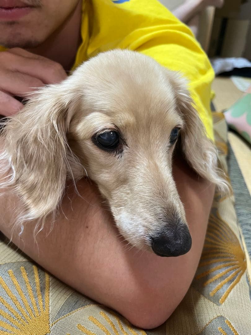 口元写真追加してみました