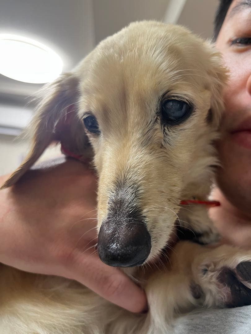 口元写真追加してみました