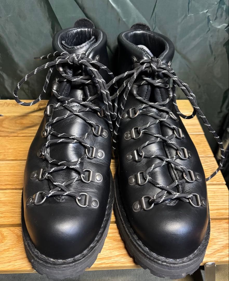 Danner ダナー　マウンテンライトブラック　#31530 およそ28cm