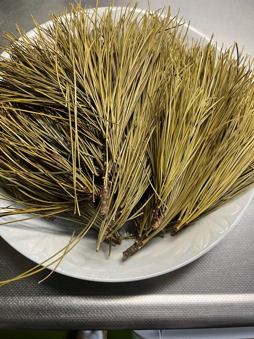 殻付き松の実￼ 2キロ+いろいろ