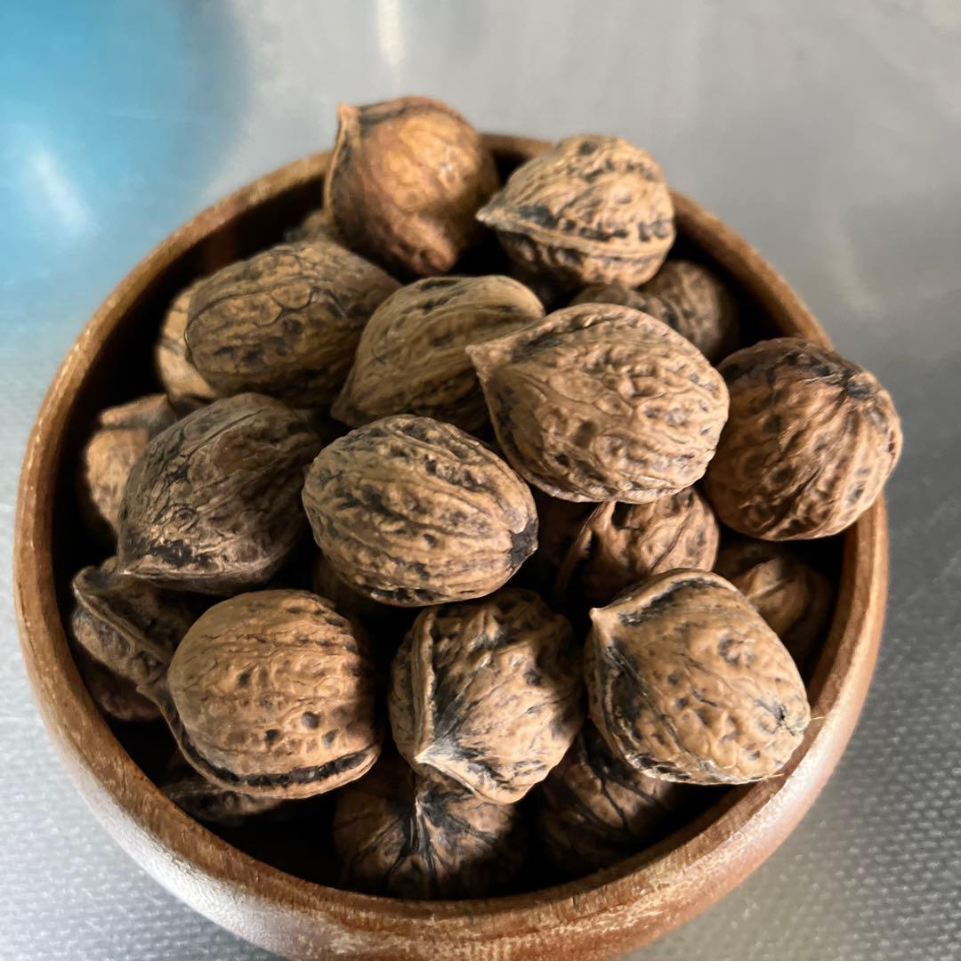 殻付き松の実￼ 2キロ+いろいろ