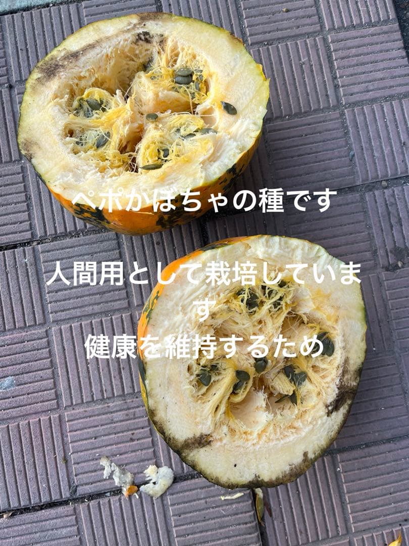 殻付き松の実￼ 2キロ+いろいろ