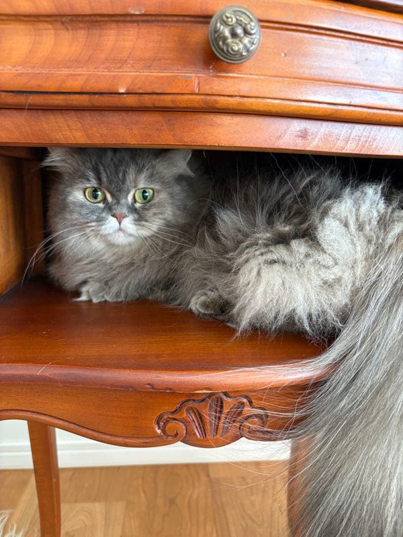 フランス　アンティーク　ブロカント　寝室　サイドボード　サイドキャビネット