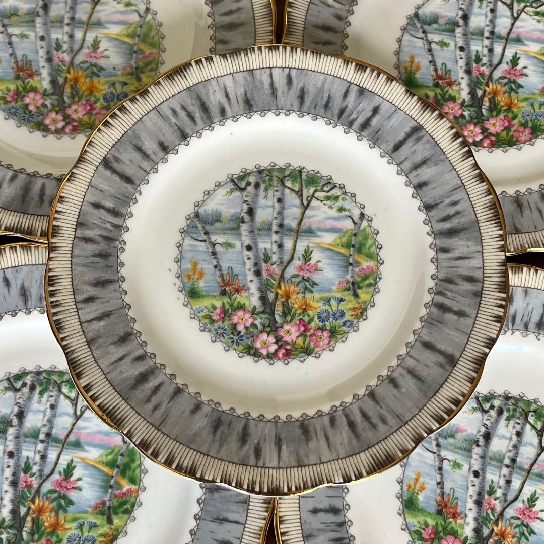 【レア美品】ロイヤルアルバート★シルバーバーチ★ケーキ皿　5枚