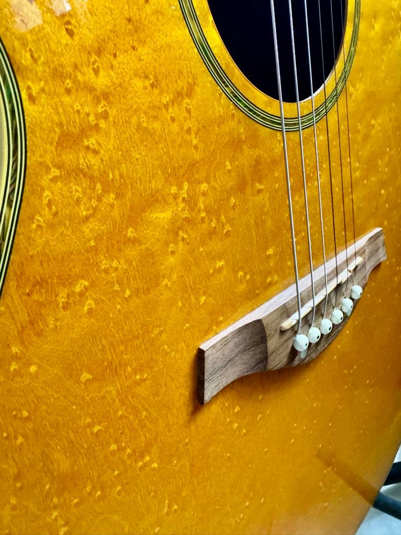 値下げしました❕希少! Schecterエレアコ（オベーションタイプボディー）